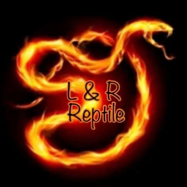 Vendor Logo