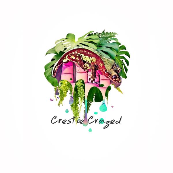 Vendor Logo