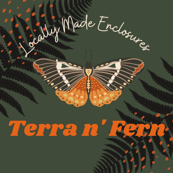 Terra n Fern  Logo