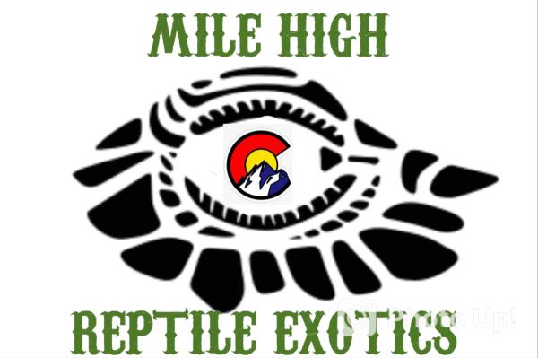 Vendor Logo