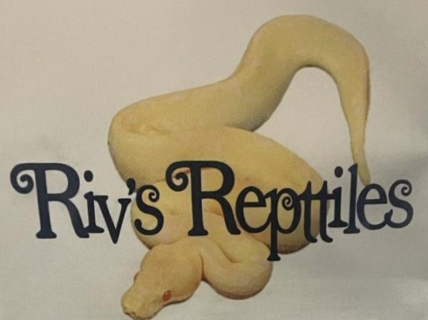 Vendor Logo