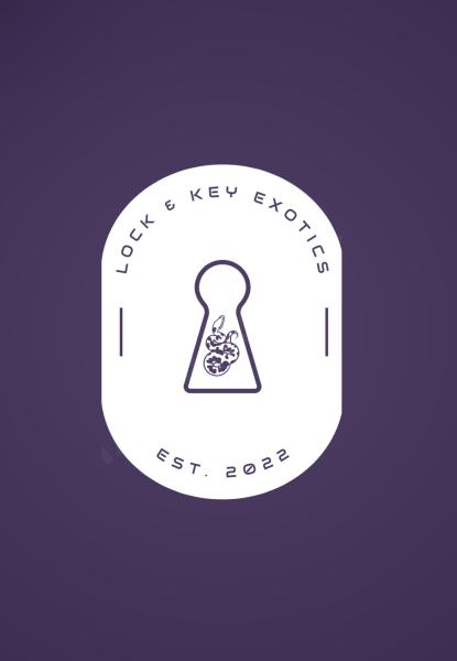 Vendor Logo