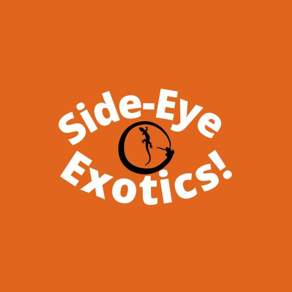 Vendor Logo