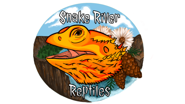 Vendor Logo