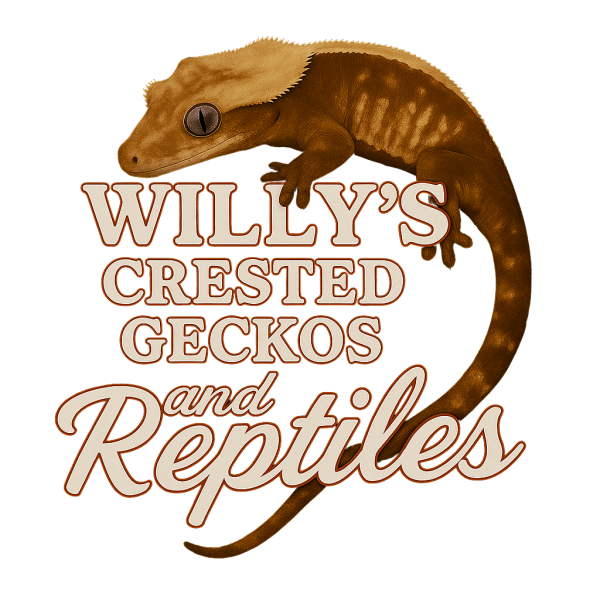 Willys Crested Geckos Logo