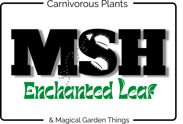 Vendor Logo