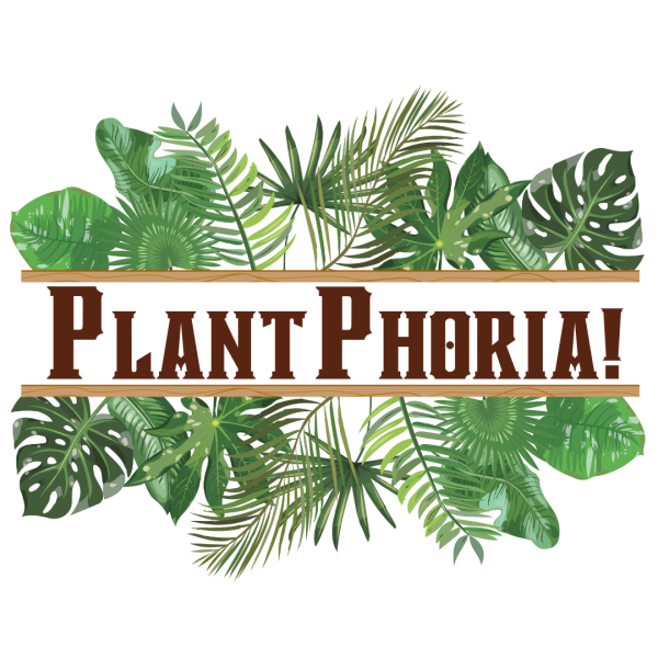 Vendor Logo
