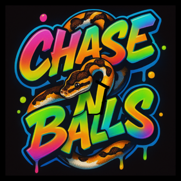 Chase-N-Balls Logo