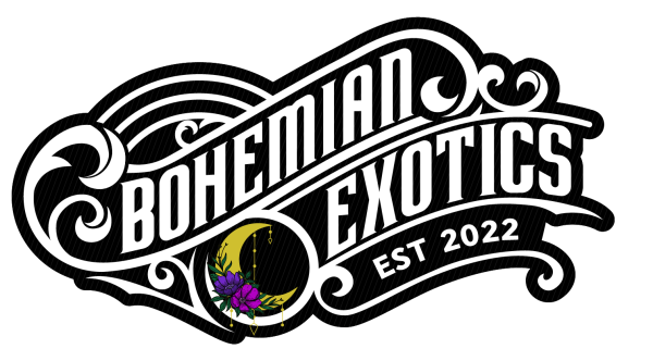 Vendor Logo