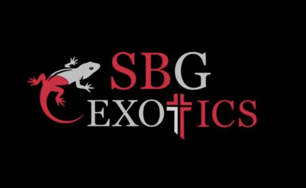 SBG Exotics Logo