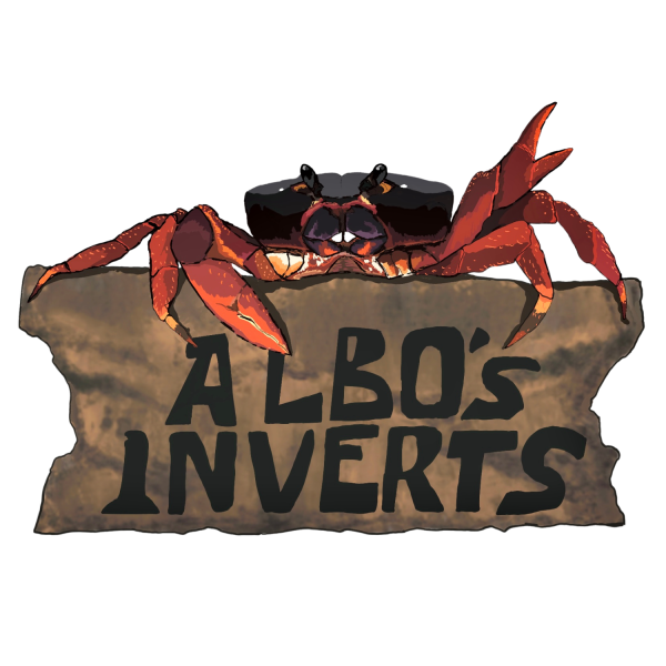 Vendor Logo