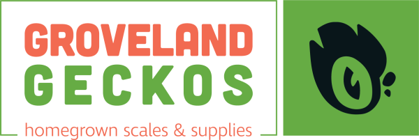 Groveland Gecko Logo