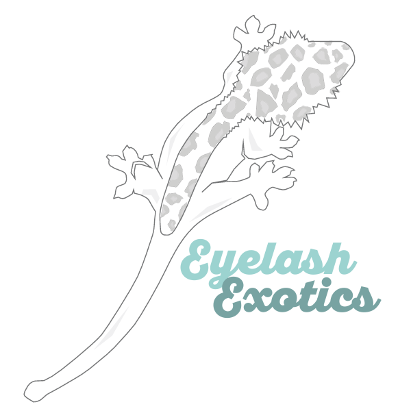 Eyelash Exotics Logo