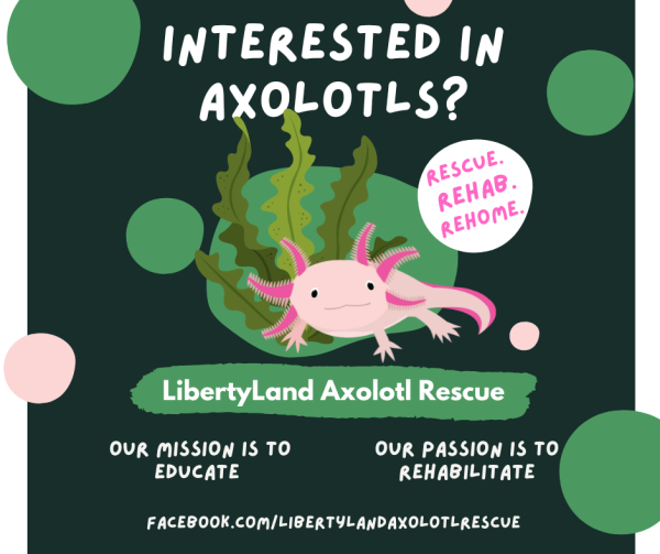 Libertyland Axolotl Rescue Logo