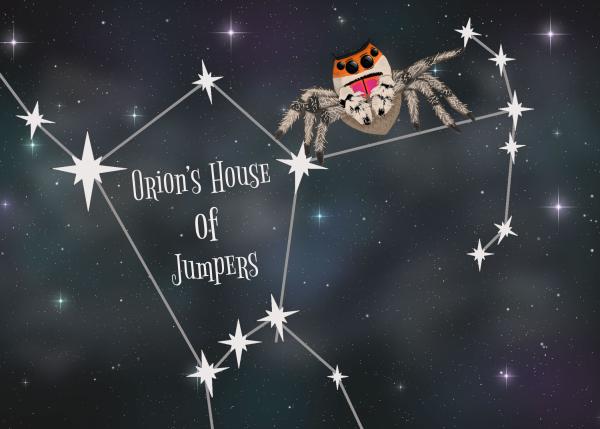 Orion's House Of Jumpers Logo