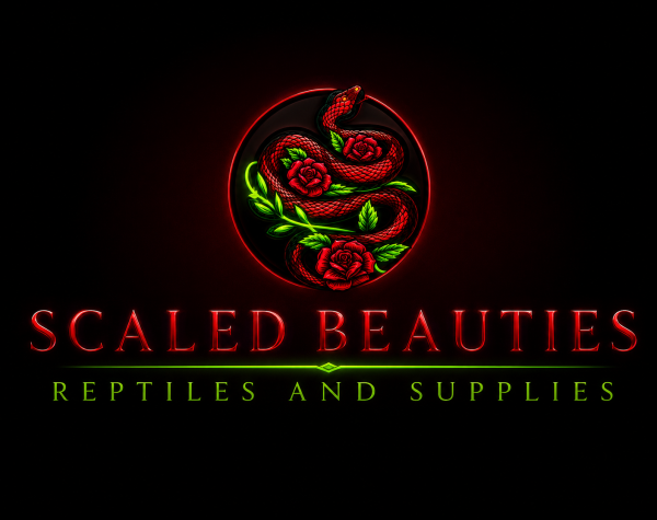 Vendor Logo