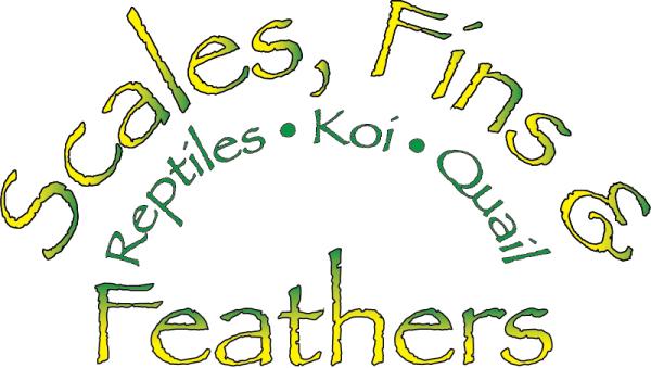 Vendor Logo