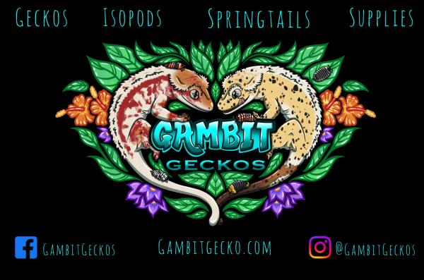 Gambit Geckos  Logo