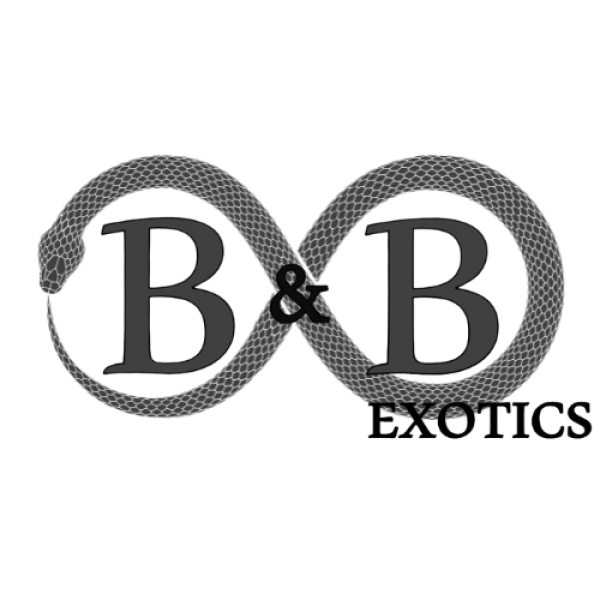 B&B Exotics  Logo