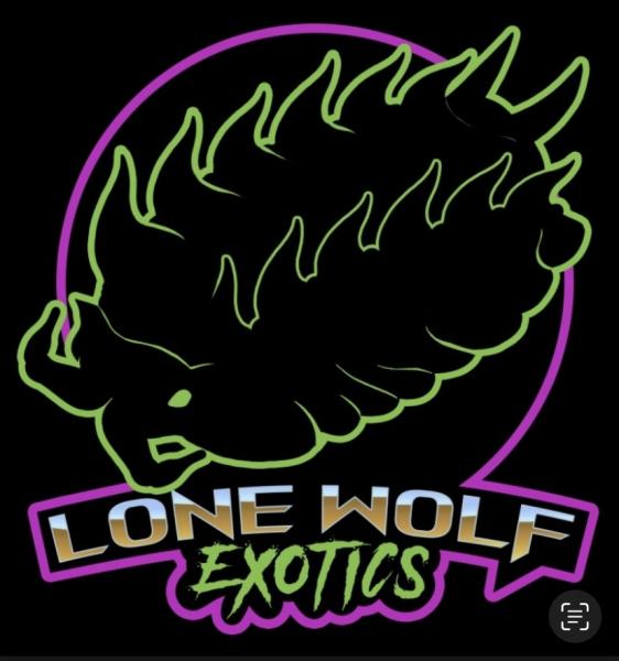 Vendor Logo