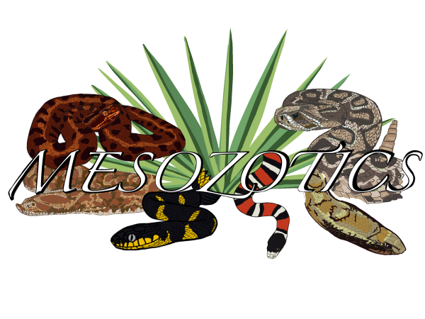 Vendor Logo