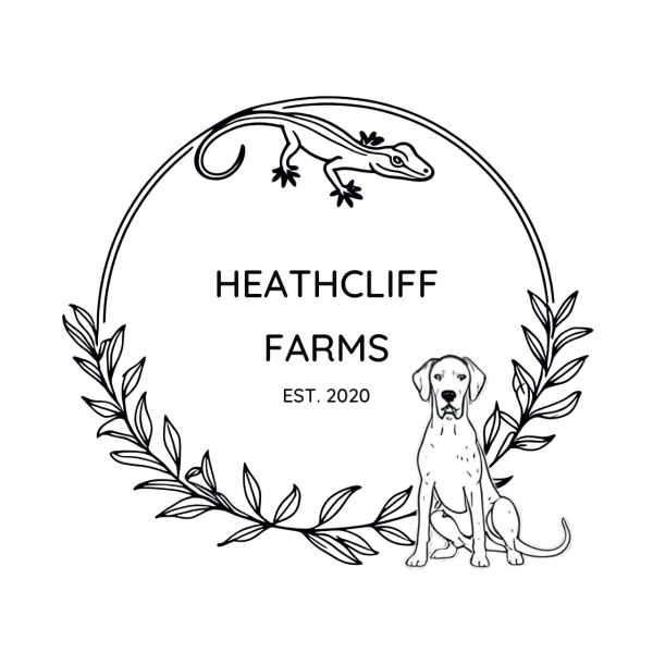 Vendor Logo