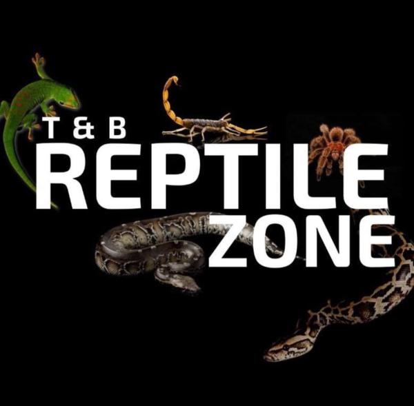T&B Reptile Zone Logo