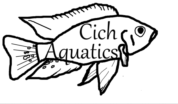 Vendor Logo