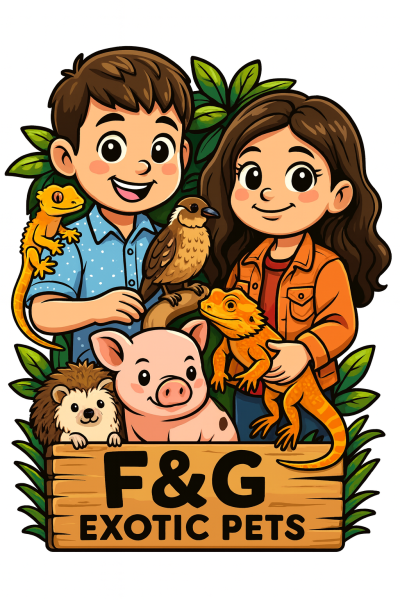 Vendor Logo