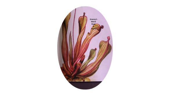 Granny's Cute Bugs & Weird Carnivorous Plants Logo