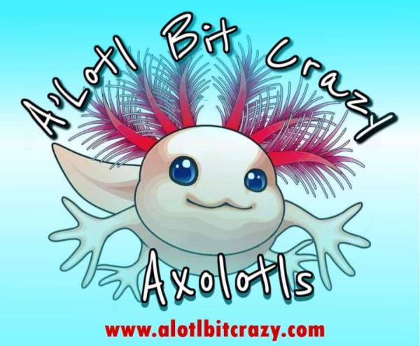 Vendor Logo