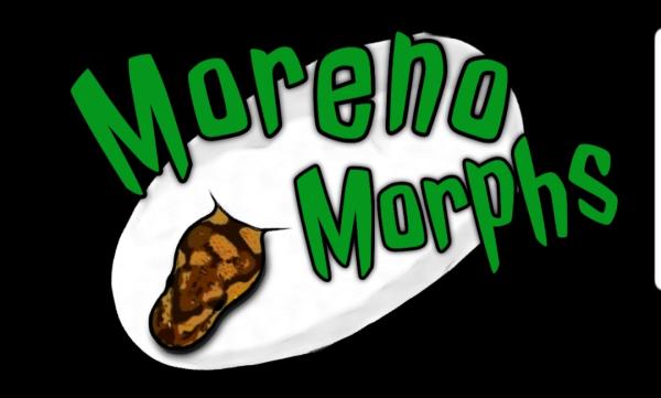 Vendor Logo