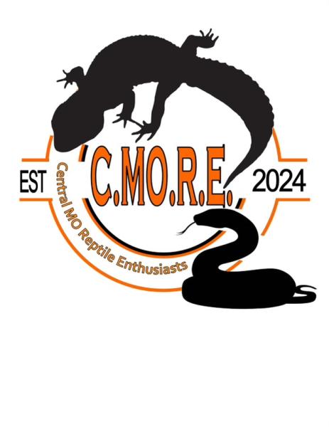CMORE LLC  Logo