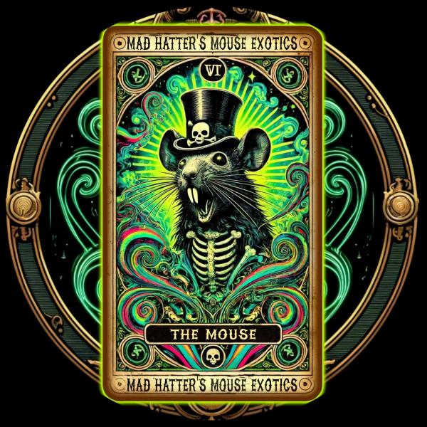 Vendor Logo