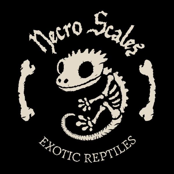Vendor Logo