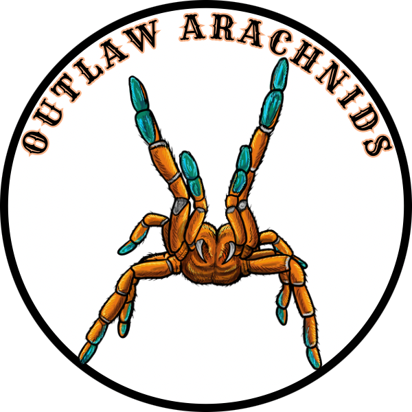 Vendor Logo
