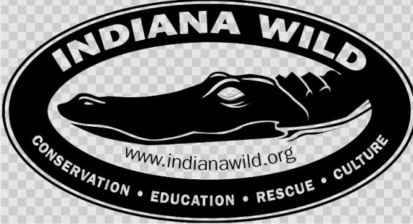 Vendor Logo