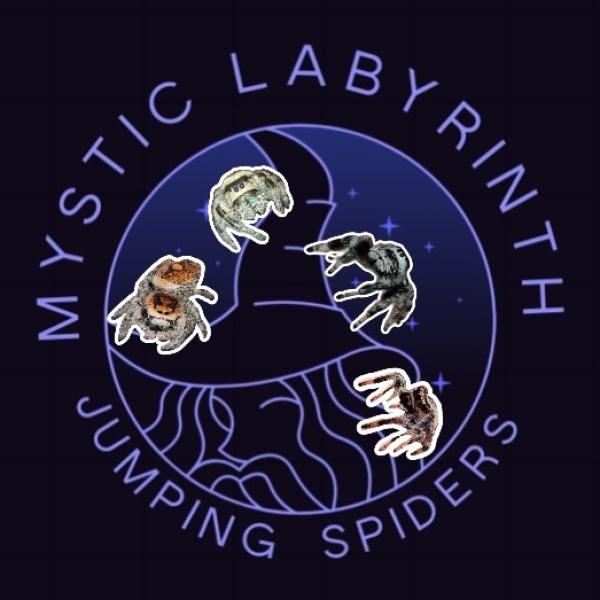 Mystic Labyrinth Logo