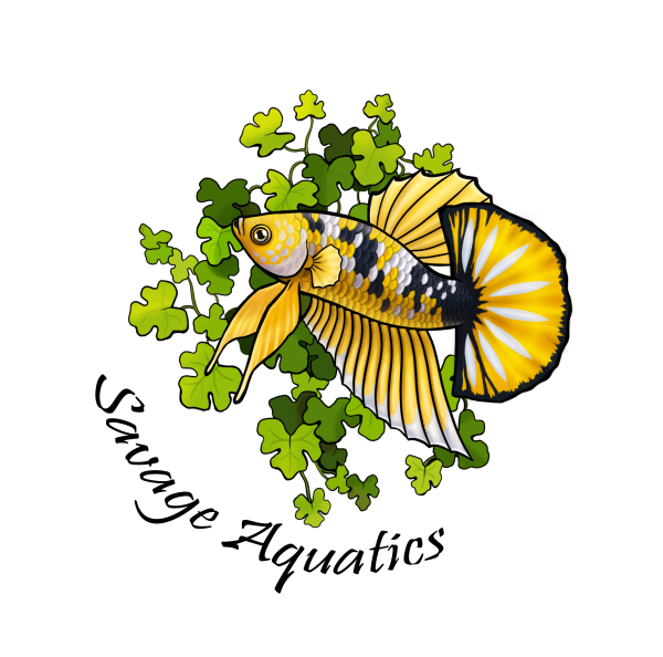 Vendor Logo