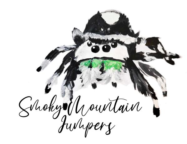 Smoky Mountain Jumpers  Logo