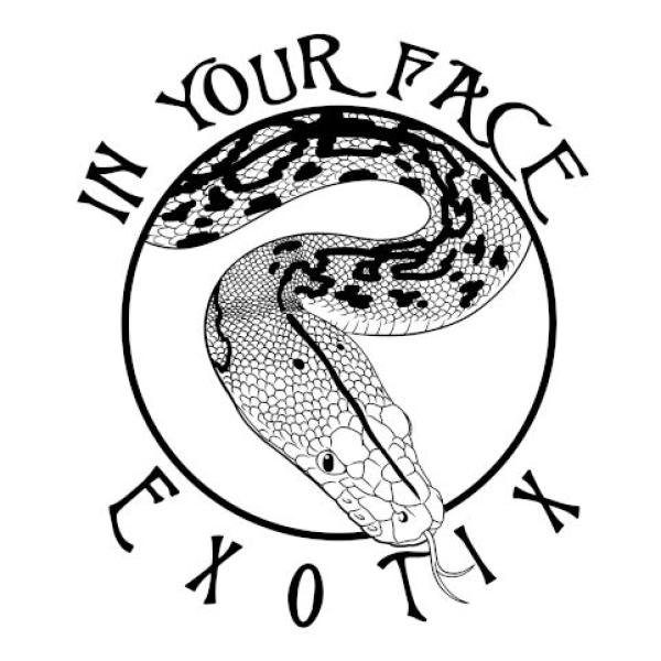 In Your Face Exotix LLC Logo