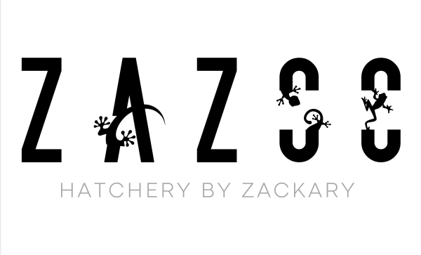 Vendor Logo