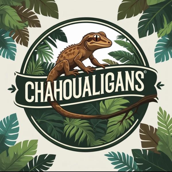 Chahoualigans  Logo