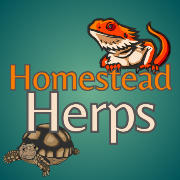 Vendor Logo