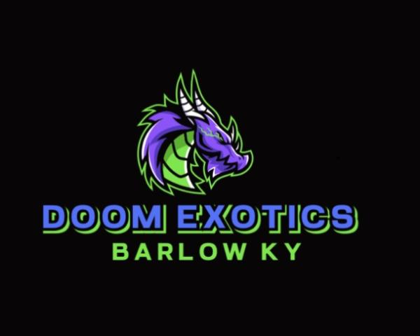 Vendor Logo
