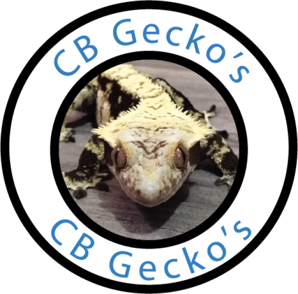 Vendor Logo