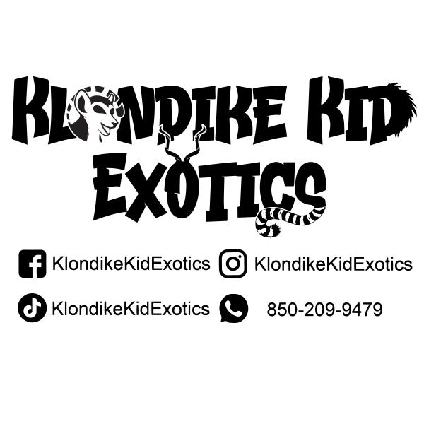 Vendor Logo