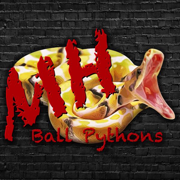 MH Ball Pythons Logo