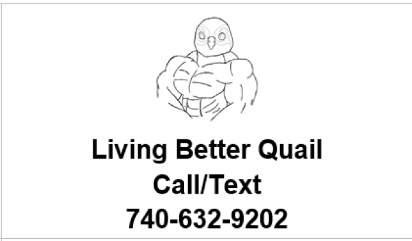 Vendor Logo
