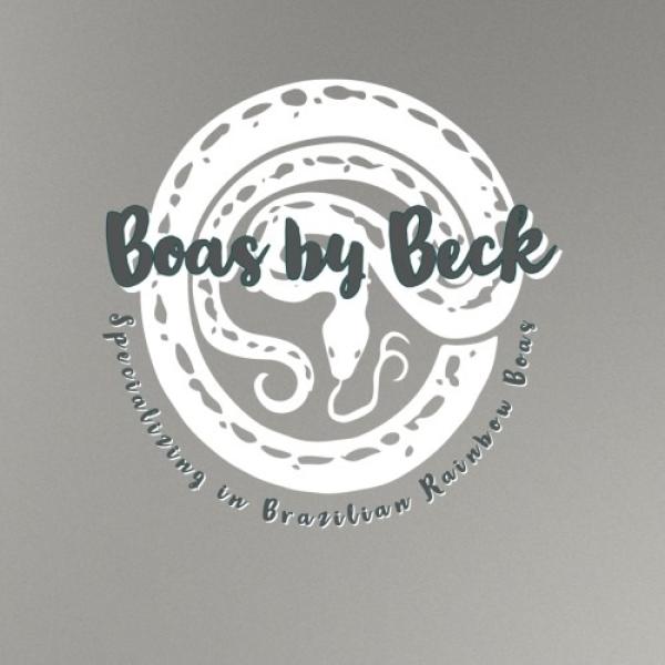 Vendor Logo